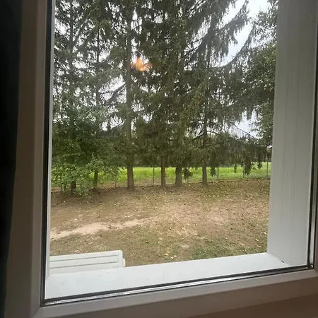 Wild Garden1 Pusztakovacsi