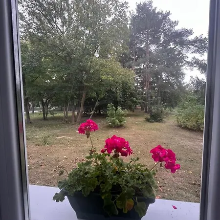 Apartment Wild Garden1
