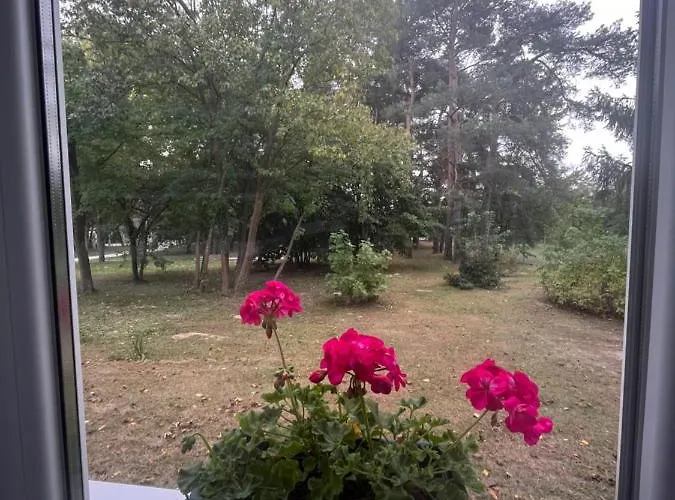 Daire Wild Garden1